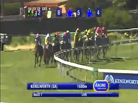 2013.12.21 Cape Guineas - Elusive Gold