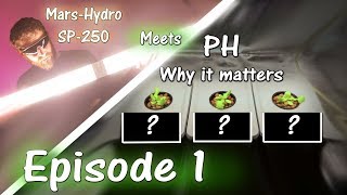 Growing Peppers at Different PH Levels | Mars Hydro SP 250 | Ep. 1