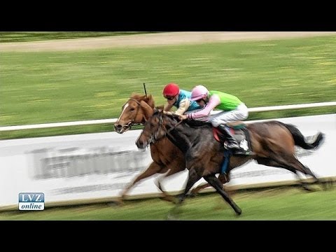 20.0000 Besucher bei Aufgalopp im Scheibenholz