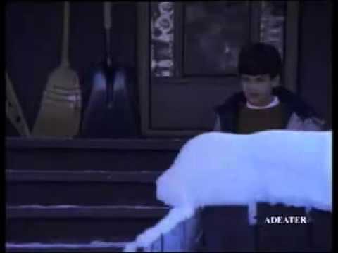 Tv Spot - Barilla with Paul Newman.flv