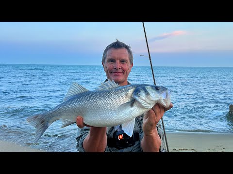 Lure Fishing for Bass: 10 Things I Wish I Had Known Years Ago