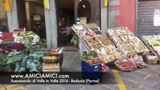 preview picture of video 'Autunnando di Valle in Valle 2014 - Bedonia (Parma)'