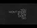 Liam Gallagher Everything S Electric Lyric Video