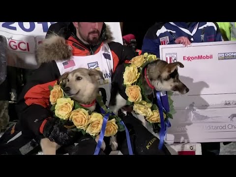 Pete Kaiser won the Iditarod Trail Sled Dog Race early Wednesday, throwing his arms over his head and pumping his fists as he became the latest Alaska Native to claim victory in the iconic competition. (March 13)