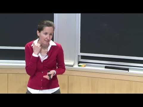 18. PK and NRP Synthases 4