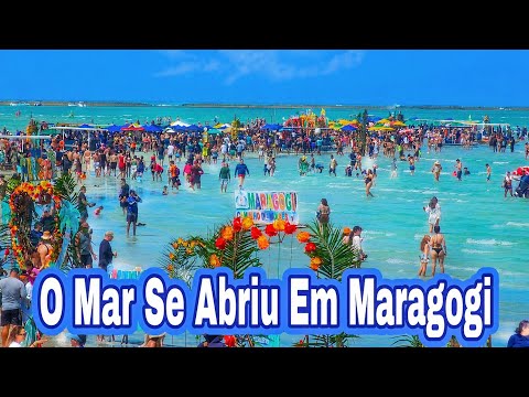 Maragogi Alagoas Caminho De Moisés Lotado Na Maré 0.0 A Mais Baixa De Julho 2026