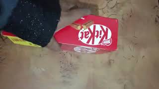 KitKat Chocolate Box Unboxing & Review | Nestle KitKat Price in Bangladesh | Chocolate Gift BD