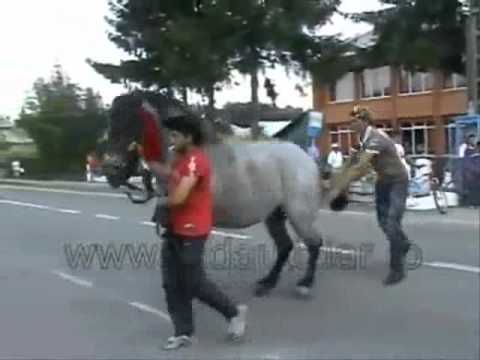 patada de caballo u.u