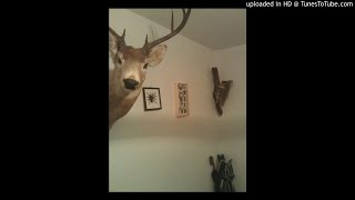 Modest Mouse - Dog Paddle (Unmastered)