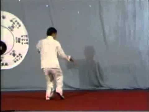 CHEN TAIJI QUAN  ..." LaoJiaYiLu ".....a spectacular performance of his STYLE in his early days !