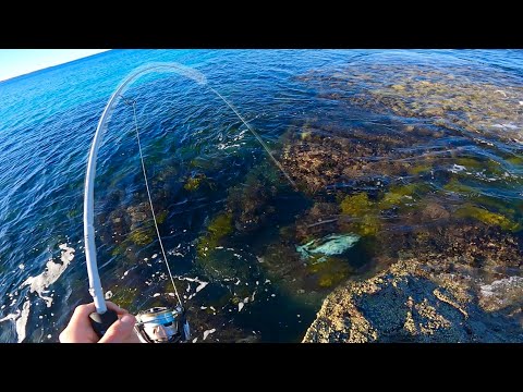 Non Stop ACTION Fishing A Clear Water Bay!