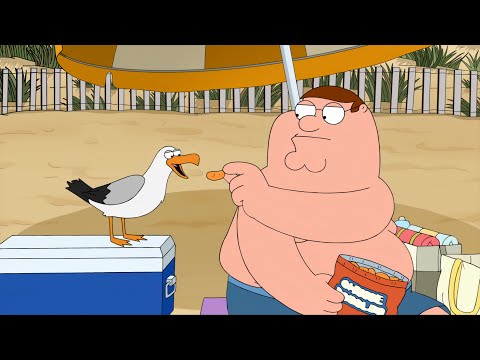 Peter feeds the seagull. Family Guy Season 19 Episode 4.