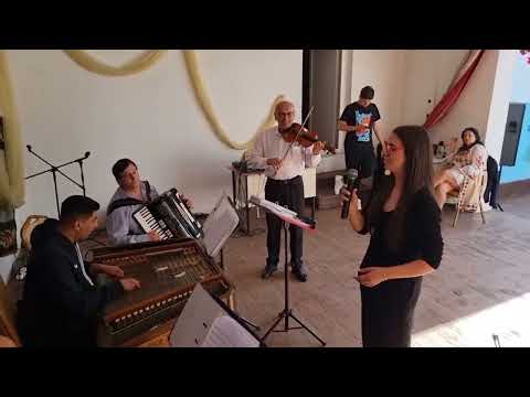 DENISA POPESCU - Floarea mea de liliac ( COVER Nelu Biţînă )