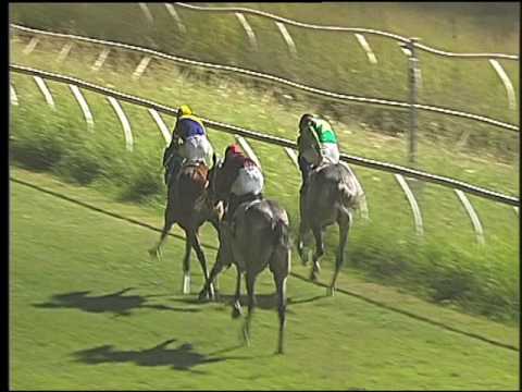 Galoppo 06/08/2016 - 2° corsa