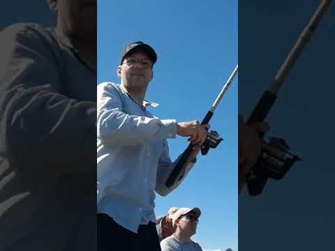 #pesca #fishing #rioparana #victoria #entrerios #argentina