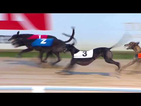 2018 STAR SPORTS DERBY FINAL