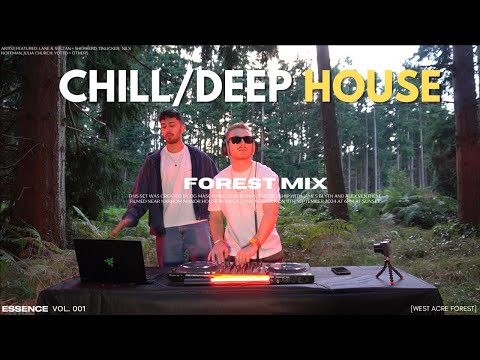 CHILLOUT Sunset Deep House Mix in the Forest (Lane 8, Ben Böhmer, Nils Hoffman)| Essence Vol. 001