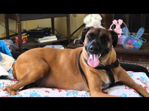 Nazeer after 2 hours of physical therapy