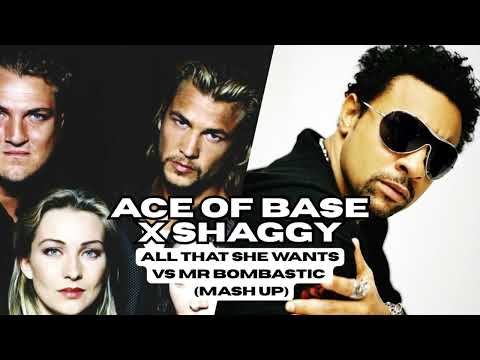 Ace of Base – All That She Wants vs Shaggy – Mr. Boombastic (Mash-Up) 🎧🔥