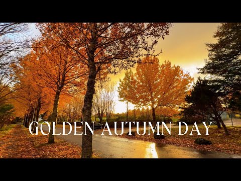 Peaceful Autumn Walk in Iceland. Beautiful Fall Colors in 4K
