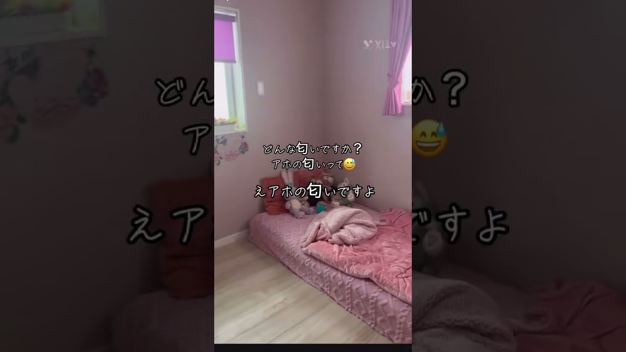 #サンシャインババア #ヨギー