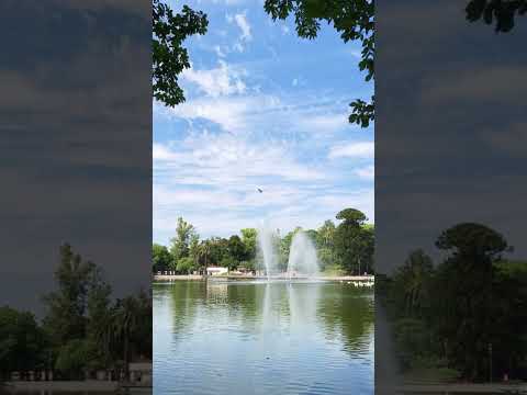 AÑO NUEVO 2026.Rosario#santafe #argentina #paseo #caminando #rosario #rutasypaisajes #turismo