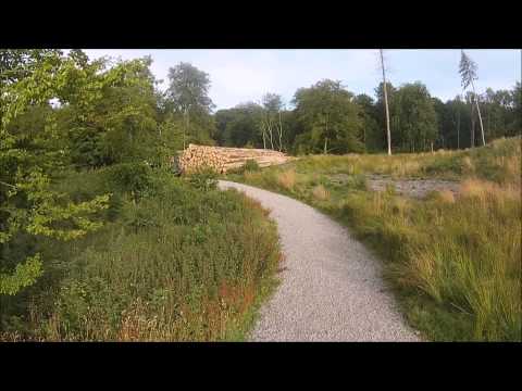 Drone ved rydning af træer marselis skoven