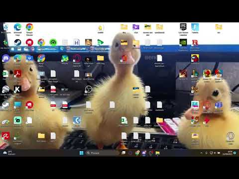 Tribalwars coaching Flo in a random speed round