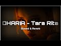 DHARIA - Tara Rita | Slowed & Reverb | NH reverb zone ✨ | Slowed Reverb |