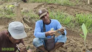 Download lagu penemuan harta Karun super besar(sampai bingung cara bawa pulang) mp3