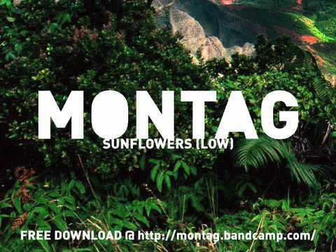 Montag - Sunflower (Low cover)