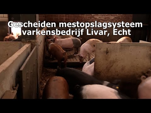, title : 'Mestscheiden op varkensbedrijf'