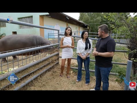 ROventura (11.10.2025) - Călărași, un oraș cu ambiții mar!