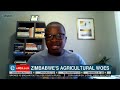 Zimbabwe S Agricultural Woes