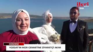 Yozgat’ın mor cennetine ziyaretçi akını | İleri Gazetesi