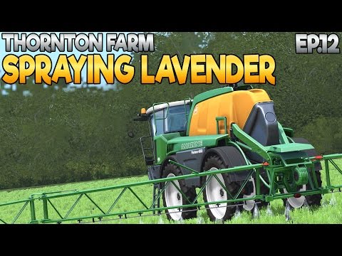 Thornton Farm - Farming Simulator 17 -  Ep.12 (with Wheel Cam)
