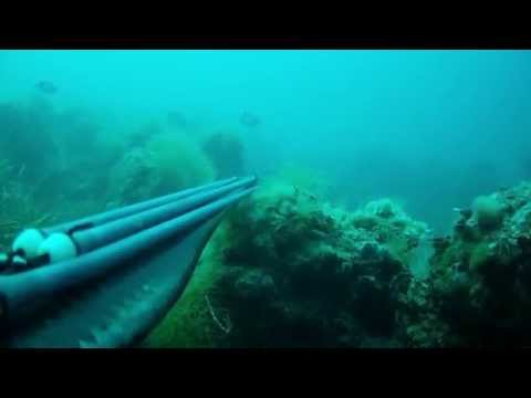 L'inizio Parte I - Saraghi a go go !