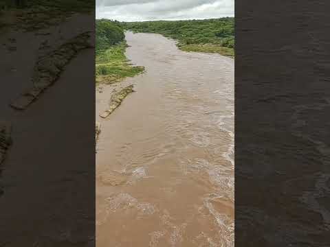Cheia do rio Canindé na ponte de PARAMOTI Ceará ano 2024