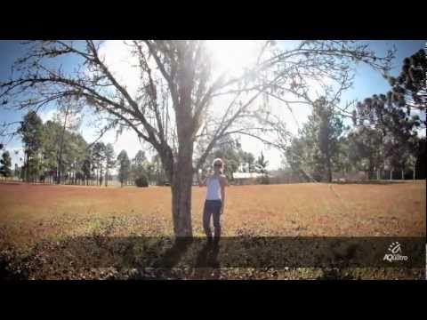 Fazenda Gel Carneiro - Odonto UFPR 11-1