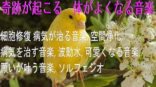 あらゆる病気を治す 風邪から癌にまで効果あり 私はこの周波数で末期癌を克服しました 病気が治る音楽 空間浄化 波動水 可愛くなる音楽 願いが叶う音楽 ソルフェジオ موقع ويب حيث يمكنك مشاهدة مقاطع فيديو موسيقية مجانية
