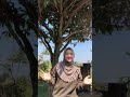 Tiktok Hijab 9