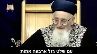 קניית רכב מההוצאה לפועל - מרתק - מרן הרב מרדכי אליהו (הרב מרדכי אליהו זצ"ל) - התמונה מוצגת ישירות מתוך אתר האינטרנט יוטיוב. זכויות היוצרים בתמונה שייכות ליוצרה. קישור קרדיט למקור התוכן נמצא בתוך דף הסרטון