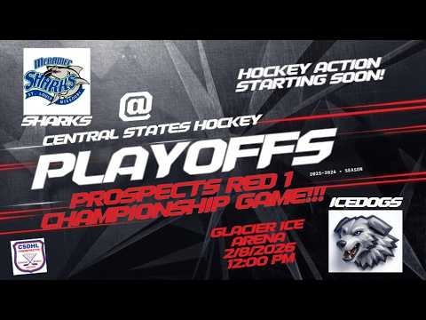 PW CS Prospects - CHAMPIONSHIP GAME! - TBA vs IceDogs