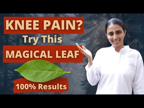 This One Leaf Can Prevent Knee Pain | Try Today! | Ayurvedic Remedy | Yogic Lifestyle | shlloka