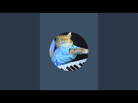 Keyboard Cat! is live!