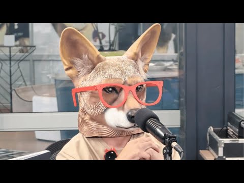 Jakkals Vibes - 'Heeltemal Stom'