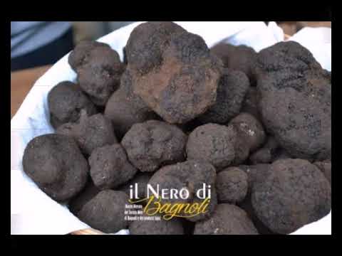 Il nero di Bagnoli Irpino, Alta Irpinia. Accorrete tutti alla sagra.