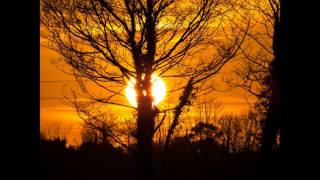 Dumbledore's Farewell - Nicholas Hooper