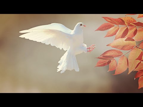 Invatatura Domnului Isus despre Duhul Sfânt - Partea 1 - Emanuel Dejeu