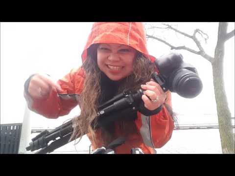 Vlog #61   New Tripod at Harbourfront Toronto